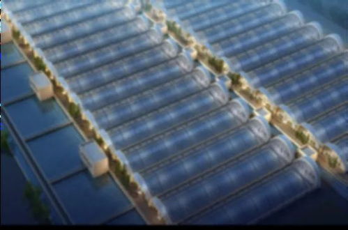 周東凱 對海水養殖園區開展全過程咨詢的探討