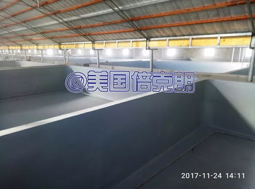 美國倍克朗攜手金盛水產共建水產養殖漆示范基地，引領行業綠色發展