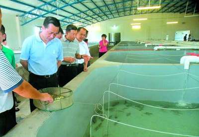 科技賦能，綠色養殖 探秘汕頭首座水循環“魚工廠”