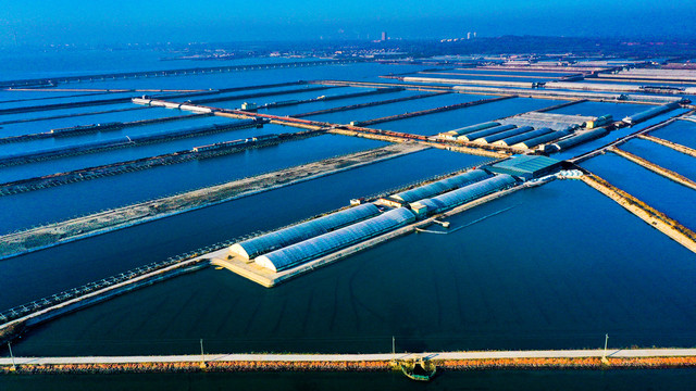 海產(chǎn)養(yǎng)殖與水產(chǎn)養(yǎng)殖 藍(lán)色經(jīng)濟(jì)下的機(jī)遇與挑戰(zhàn)