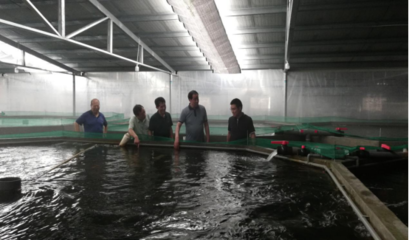 陽澄湖鎮(zhèn)領(lǐng)導(dǎo)深入一線走訪水產(chǎn)養(yǎng)殖企業(yè) 助推產(chǎn)業(yè)高質(zhì)量發(fā)展