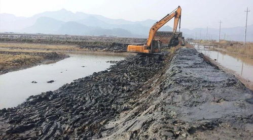 水產(chǎn)養(yǎng)殖病害預(yù)防 從池塘到餐桌的全鏈條防控策略